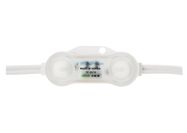 BERGMEN LED module RX-2 Stark / 12VDC / 0,48W / 2 x 5050 SMD / IP68 / blue