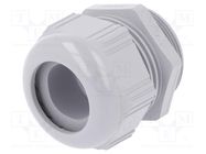 Cable gland; M40; 1.5; IP68,IP69K; polyamide; dark grey; SKINTOP® LAPP