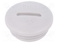 Stopper; PG11; IP54; polyamide; light grey; SKINDICHT® BLK-GL; 6mm LAPP