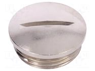 Stopper; M20; 1.5; IP54; brass; Plating: nickel; SKINDICHT® LAPP