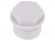 Stopper; M20; 1.5; IP54; polyamide; grey; SKINDICHT®; Thread: metric LAPP