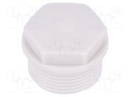 Stopper; M25; 1.5; IP54; polyamide; grey; SKINDICHT® WN-M; -30÷80°C LAPP