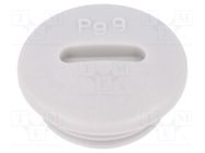 Stopper; PG9; IP54; polyamide; light grey; SKINDICHT® BLK-GL; 6mm 