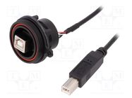Cable; USB Buccaneer; USB B socket-front,USB B plug; IP68; 0.5m BULGIN