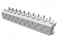 Connector: Micro-MaTch; socket; female; PIN: 20; vertical; SMT; 2x10 TE Connectivity