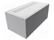 Enclosure: rack mounting; Standard: 19"; 2U; Z: 89mm; X: 211mm; rack HAMMOND