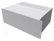 Enclosure: rack mounting; Standard: 19"; 4U; Z: 178mm; X: 422mm; rack HAMMOND