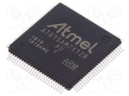 IC: ARM7TDMI microcontroller; LQFP100; 3÷3.6VDC; AT91 MICROCHIP TECHNOLOGY
