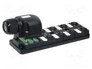 Cable: for sensors/automation MURRELEKTRONIK