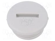 Stopper; PG7; IP54; polyamide; light grey; SKINDICHT® BLK-GL; 6mm 