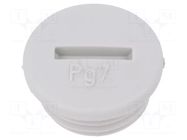 Stopper; PG7; IP54; polyamide; light grey; SKINDICHT®; 6mm LAPP