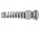 Cable gland; with strain relief; NPT3/4"; IP66,IP68; polyamide ALPHA WIRE