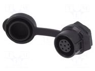 Connector: circular; socket; size 12; 02; female; PIN: 8; 125V; 3A LUTRONIC