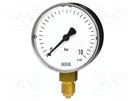 Manometer; 0÷60bar; Class: 2.5; 63mm; Temp: -20÷60°C; 111.10 WIKA