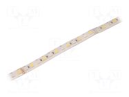 LED tape; RGBW; 5050; LED/m: 96; 12mm; white PCB; IP65; 23W/m; 24VDC WISVA OPTOELECTRONICS