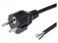 Cable; 3x0.75mm2; CEE 7/7 (E/F) plug,wires; PVC; 3m; black; 6A 