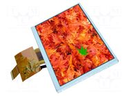 Display: TFT; 7"; 800x480; Illumin: LED; Dim: 165x100x5.8mm; RGB DISPLAY VISIONS