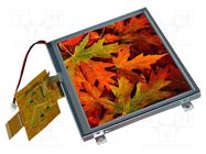 Display: TFT; 5.7"; 320x240; Illumin: LED; Dim: 141.1x101.6x6.5mm DISPLAY VISIONS