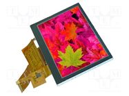 Display: TFT; 4.3"; 480x272; Illumin: LED; Dim: 105.5x67.2x3mm; RGB DISPLAY VISIONS