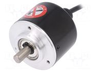 Encoder: incremental; Usup: 12÷24VDC; 1000imp/revol; IP50; 2m AUTONICS