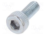 Screw; M2.5x6; 0.45; Head: cheese head; hex key; HEX 2mm; steel BOSSARD