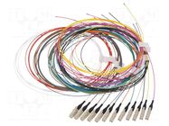 Optic fiber pigtail; OM4; LC/UPC; 2m; Optical fiber: 50/125um LAPP
