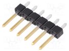 Pin header; pin strips; BERGSTIK II; male; PIN: 6; straight; 2.54mm Amphenol Communications Solutions