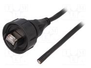 Cable; Buccaneer Ethernet; wires,RJ45 plug; IP68; -25÷75°C; 5m BULGIN