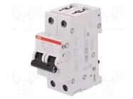 Circuit breaker; 230/400VAC; Inom: 1A; Poles: 2; Charact: C; 6kA ABB