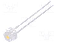 LED; 4.8mm; white warm; 1300÷2200mcd; 100°; Front: convex; 3000K LUCKYLIGHT