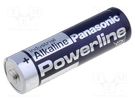 Battery: alkaline; 1.5V; AA; non-rechargeable PANASONIC