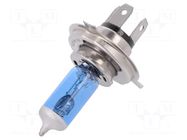 Filament lamp: automotive; P43t; blue; 12V; 100/80W; 3800K ELTA