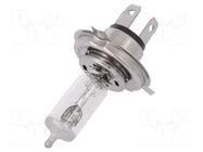 Filament lamp: automotive; P43t; transparent; 12V; 60/55W; 3400K ELTA