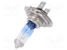Filament lamp: automotive; PX26d; blue,transparent; 12V; 55W ELTA