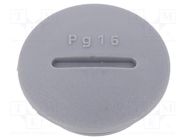 Stopper; PG16; polyamide; dark grey; Thread: PG; 6mm; 10pcs. ALPHA WIRE