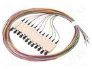 Optic fiber pigtail; OM3; SC/UPC; 2m; Optical fiber: 50/125um LAPP