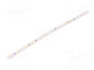 LED tape; white warm; 2835; LED/m: 60; 8mm; IP20; 120°; 4W/m; Thk: 2mm LEDDEX