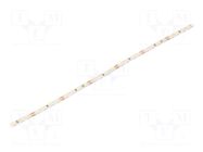 LED tape; white cold; 2835; LED/m: 120; 5mm; IP20; 120°; 15W/m; 24VDC LEDDEX