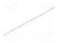 LED tape; white cold; 2835; LED/m: 60; 8mm; IP20; 120°; 4W/m; Thk: 2mm LEDDEX