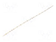 LED tape; white cold; 2835; LED/m: 120; 5mm; IP20; 120°; 15W/m; 24VDC LEDDEX