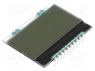 Display: LCD; alphanumeric; FSTN Positive; 16x4; white; PIN: 10 DISPLAY VISIONS