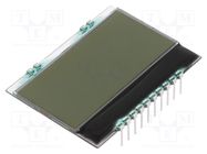 Display: LCD; alphanumeric; FSTN Positive; 16x4; white; PIN: 10 DISPLAY VISIONS