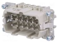 Connector: HDC; male; PIN: 10; size 10; for panel mounting; 500V WIELAND