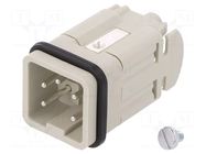 Connector: HDC; male; PIN: 5; size 3; contact insert; 400V; 10A; 4+PE WIELAND