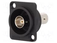 Coupler; BNC socket,both sides; 75Ω; FT; black; plastic; 19x24mm CLIFF