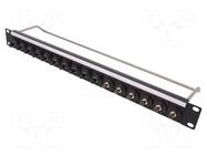 Connector: fiber optic; patch panel; ST; rack; screw; Standard: 19" CLIFF