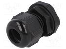 Cable gland; PG13,5; IP66,IP68; polyamide; black; 10pcs. ALPHA WIRE
