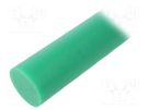 Rod; Ø: 12.7mm; L: 500mm; green; extruded; Length tolerance: 0; +1mm MITSUBISHI CHEMICAL ADV. MATERIALS