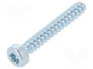 Screw; for plastic; 3x20; Head: cheese head; Torx® PLUS; 10IP; zinc BOSSARD