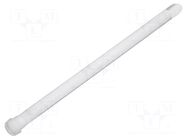 Fiber for LED; Ø3.2mm; L: 43.75mm; round; Front: convex; straight MENTOR